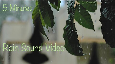 Refreshing Rain: 5-Minute Sound Ambience