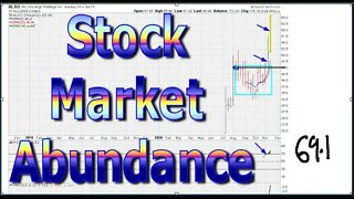 Stock Market Abundance - #1294