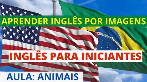 APRENDA INGLÊS COM IMAGENS / TEXTO EM INGLÊS COM TRADUÇÃO / INGLÊS PARA INICIANTES COM IMAGENS