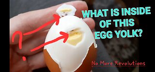 What Is Inside Of This Boiled Egg White? Something Dark Brown