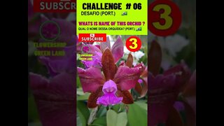 CHALLENGE # 06 |WHAT IS THE NAME OF THIS ORCHID? YOU WANT TO LEARN? # SHORT