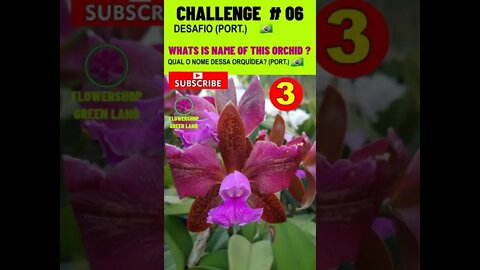 CHALLENGE # 06 |WHAT IS THE NAME OF THIS ORCHID? YOU WANT TO LEARN? # SHORT
