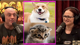 Why Do We LOVE Cute Animals Joe Rogan & Adrienne Iapalucci