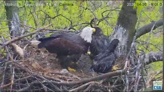 Hays Eagles Mom says ""Get out of the way H12" 2020 04 30 09 05 00 475