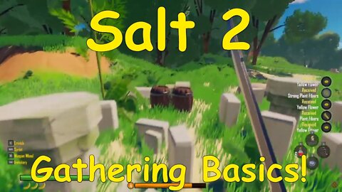 Salt 2 Early Game Looting Guide!