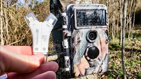 Trail Camera Check - New SD Card Reader - BIG BUCKS