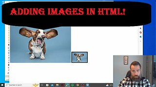 Adding Images in HTML!