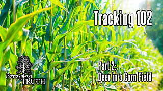 Tracking 102: Deer Tracks in a Corn Field | Preparing for Deer Season | Hunting in Pennsylvania