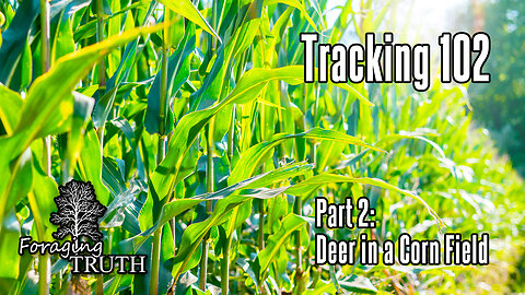 Tracking 102: Deer Tracks in a Corn Field | Preparing for Deer Season | Hunting in Pennsylvania