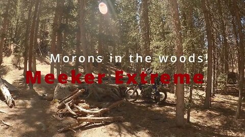 Morons in the woods!