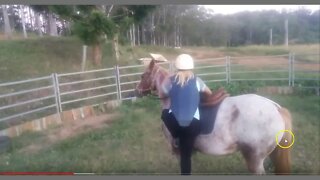 Training A Horse On Three Legs - This Is Not Good For The Horse & Shows Uneducated Trainer