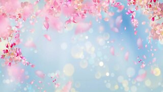 Relaxing Japanese Music - Cherry Blossoms | Soothing, Peaceful, Spa ★171