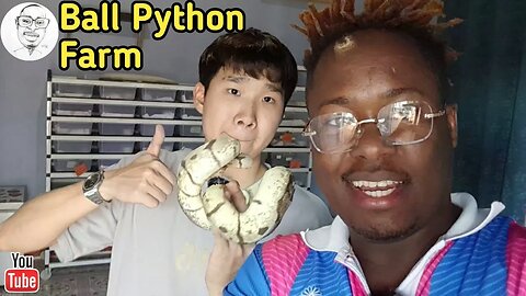 Ball Python Farm | Whitening Ball Python| Exclusive Interview W/ Ray | Nong Bun Mak, Korat, Thailand