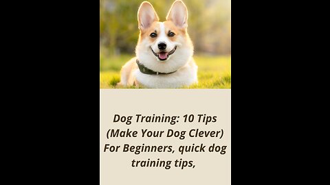 Dog training