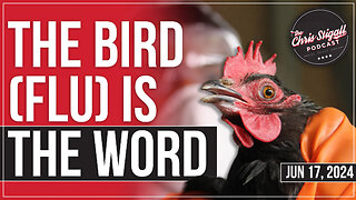 The Bird (Flu) Is the Word