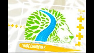 Tribe Churches