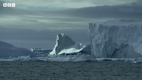 Antarctic winter sea-ice reaches record lows - BBC News