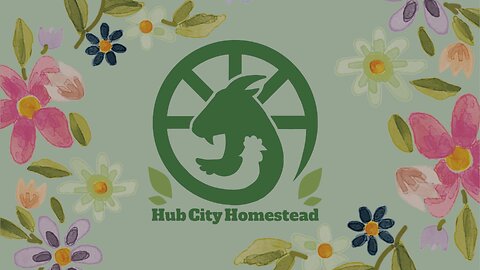 Welcome to Hub City Homestead