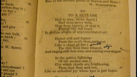 To A Skylark - P. B. Shelley