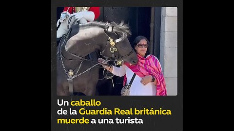 Caballo de la Guardia Real británica ataca a una turista