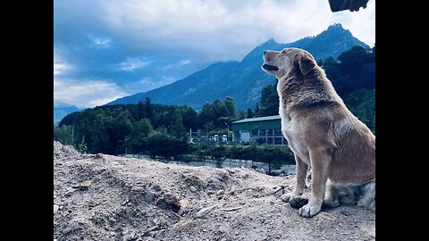 Beautiful Manali | unforgettable experience | mountain