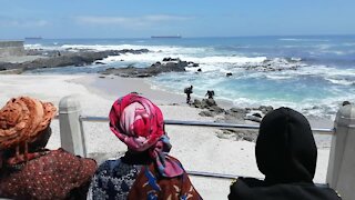 SOUTH AFRICA - Cape Town - Sea Point Drowning (Video) (4LQ)