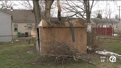 Tree removal companies swamped days after multiple storms hit metro Detroit