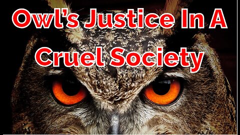 Owl’s Justice in a Cruel Society