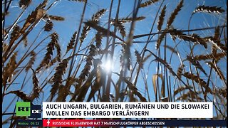 Polen droht mit Alleingang: Embargo für ukrainisches Getreide soll verlängert werden