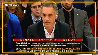 Jordan Peterson Speaks at Bill C-16 Senate Hearing