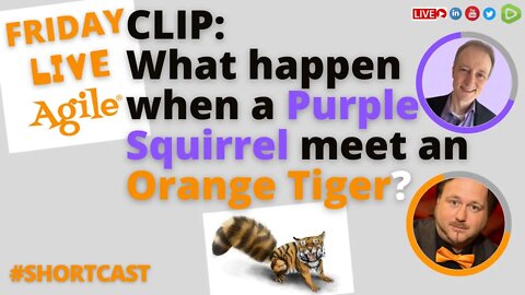 What happen when a Purple Squirrel and an Orange Tiger Meet? 🧡 CLIP