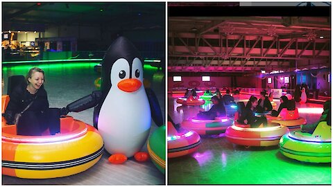 You Can Ride Bumper Cars On Ice At This Winter Wonderland In Houston This Spring (VIDEO)