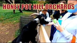Honey Pot Hill Orchards - 50 Boon Rd. Stow Massachusetts