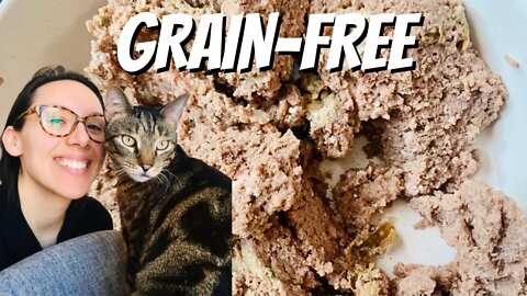 Best grain free wet cat food - Jess Caticles