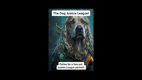 The Dog Justice League! 🐶 #dog #justiceleague #batman #wonderwoman #aquaman #superman #flash #rumble