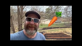 Carrots 🥕 Sow carrots with this method for success 🥕