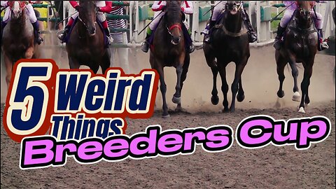 5 Weird Things - The Breeders Cup