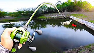 This CANAL has GIANT Bass! (Bank Fishing)