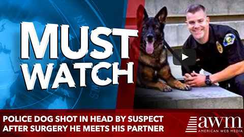 Police Dog Shot In Head By Suspect. After Extensive Surgery, He Meets His Partner One More Time.