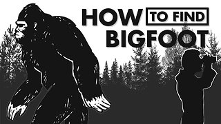 How To Find Bigfoot