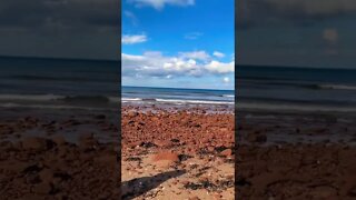 Lots of rocks on the beach