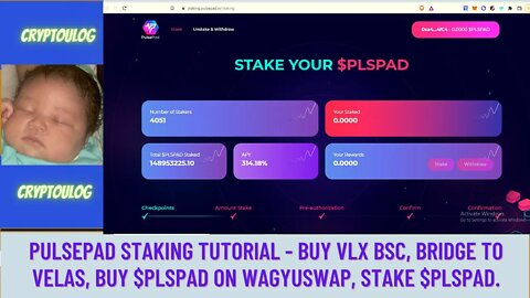 Pulsepad Staking Tutorial - Buy VLX bsc, Bridge To Velas, Buy $PLSPAD On Wagyuswap, Stake $PLSPAD.