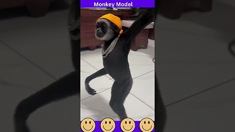 Monkey Model: You Won't Believe Your Eyes!
