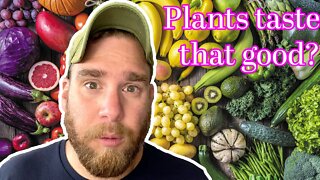 5 Cheap Lazy Vegan Plant-Based Recipes Anyone Can Make Tonight
