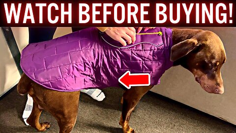 Best Dog Jacket? Kurgo Loft Dog Jacket, Reversible Dog Coat (Review & Demo)