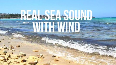 ☑️REAL SEA SOUND and VIDEO with Background Wind 🌊 Free Download 1Minute [no copyright sounds effect]