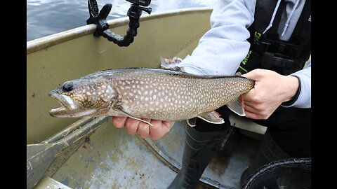 Spring LAKE TROUT And BROOK TROUT! | Northern Ontario