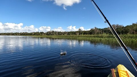 Kayak Fly Fishing Review of Lake Rosalie in Polk County, Florida