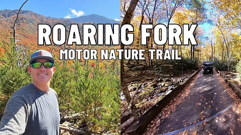A Fall Drive Through Roaring Fork Motor Nature Trail | Black Bears & Short Hikes