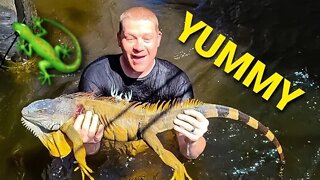 Florida Iguanas! {Catch Clean Cook} 🐲🦎🦖